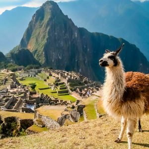 LiExP Peru Tours